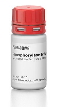 Phosphorylase&nbsp;b aus Kaninchenmuskel lyophilized powder, &#8805;20&#160;units/mg protein, 2&#215; crystallization