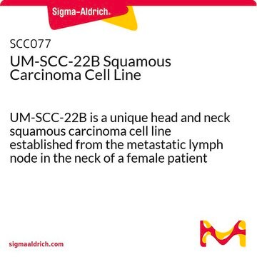 UM-SCC-22B Squamous Carcinoma Cell Line UM-SCC-22B is a unique head and neck squamous carcinoma cell line established from the metastatic lymph node in the neck of a female patient and is a suitable in vitro model of H&amp;N carcinoma studies.