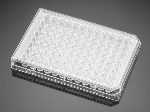 Corning&#174; BioCoat&#8482; Collagen I 48 Well Clear Flat Bottom TC-Treated Multiwell Plate with Lid well size 48&#160;wells, flat bottom clear wells, lid