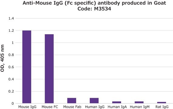 Anti-Mouse IgG (Fc specific) antibody produced in goat 2.0&#160;mg/mL, affinity isolated antibody