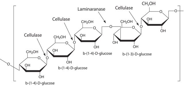 Driselase&#8482; Basidiomycetes sp. BioReagent, suitable for plant cell culture