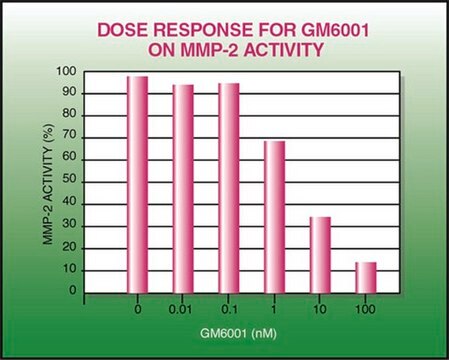 GM6001 MMP-Hemmer The GM6001 MMP Inhibitor controls the biological activity of MMP. This small molecule/inhibitor is primarily used for Biochemicals applications.