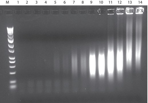 GenomePlex&#174; Complete Whole Genome Amplification (WGA) Kit Optimized kit with enzyme for amplifying a variety of DNA including FFPE tissue