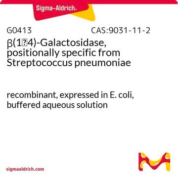 &#946;(1&#8594;4)-Galactosidase, positionally specific from Streptococcus pneumoniae recombinant, expressed in E. coli, buffered aqueous solution