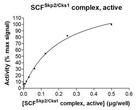 SCF-Skp2 Proteinkomplex, Aktiv, 10 &#181;g Active complex of five (5) full length, recombinant human enzymes: Skp1, Skp2, Cul1, Rbx1 &amp; Cks1. For use in Enzyme Assays. Functions as an E3 ligase in ubiquitination assays.