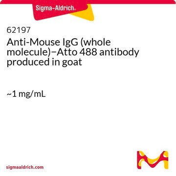 Anti-Mouse IgG (whole molecule)&#8722;Atto 488 antibody produced in goat ~1&#160;mg/mL