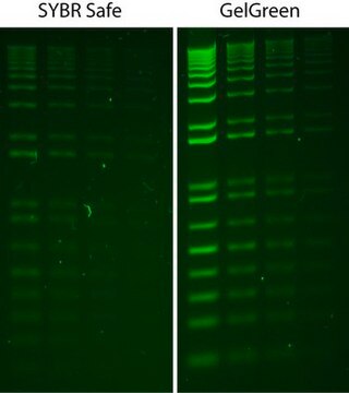 GelGreen&#174; Nukleinsäuren-Färbemittel 10.000&nbsp;X in Wasser GelGreen is a fluorescent nucleic acid stain designed to replace the highly toxic ethidium bromide (EtBr) for staining dsDNA, ssDNA or RNA in agarose gels or polyacrylamide gels.