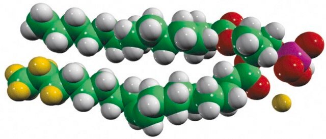 15:0-18:1-d7-PA Avanti Polar Lipids