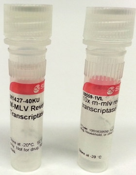 M-MLV Reverse Transcriptase Moloney Murine Leukemia Virus enzyme &amp; buffer for cDNA synthesis