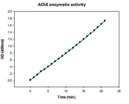 Acetylcholinesterase human recombinant, expressed in HEK 293 cells, lyophilized powder, &#8805;1,000&#160;units/mg protein (Lowry)