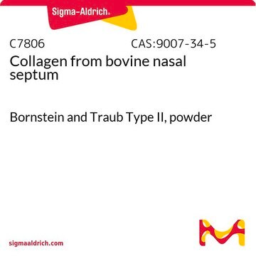 Kollagen aus bovine nasal septum Bornstein and Traub Type II, powder