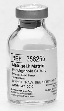 Corning&#174; Matrigel&#174; Matrix for Organoid Culture Phenol Red Free, pack of 10&#160;mL