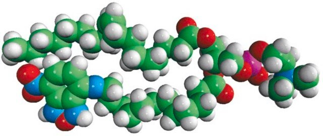 18:1-12:0 NBD PC Avanti Polar Lipids 810133C