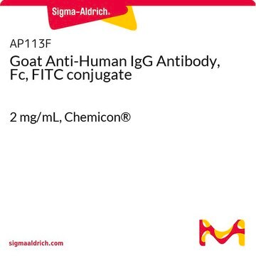 Anti-Human-IgG-Antikörper der Ziege, Fc, FITC-Konjugat 2&#160;mg/mL, Chemicon&#174;