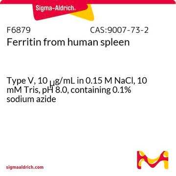 Ferritin from human spleen Type V, 10&#160;&#956;g/mL in 0.15 M NaCl, 10 mM Tris, pH 8.0, containing 0.1% sodium azide