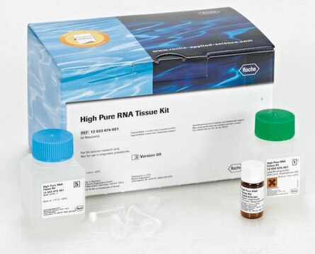 High Pure RNA Tissue Kit sufficient for 50&#160;isolation(s), suitable for RT-PCR, suitable for Northern blotting