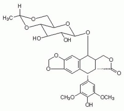 Etoposid A cell-permeable derivative of podophyllotoxin that acts as a topoisomerase II inhibitor (IC&#8325;&#8320; = 59.2 &#181;M) has major activity against a number of tumors, including germ cell neoplasms, small cell lung cancer, and malignant lymphoma.