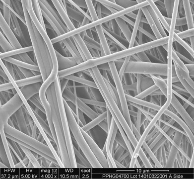 Polypropylen-Membranfilter 0.2 &#181;m, 13 mm, hydrophilic, polypropylene