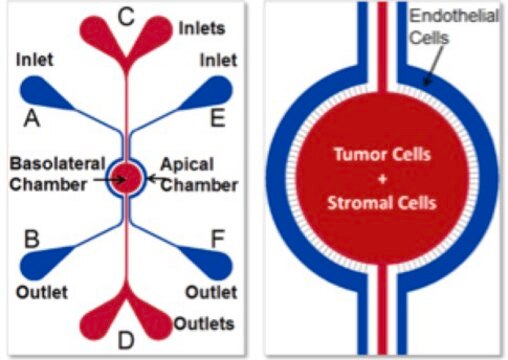 SynVivo SynTumour 3D cancer model chip, IMN2 radial configuration, 8 um pillar