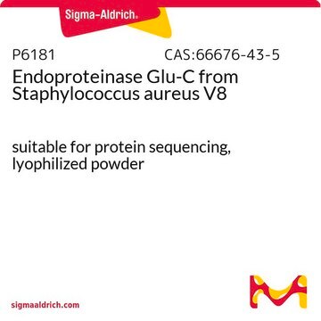 Endoproteinase Glu-C aus Staphylococcus aureus V8 suitable for protein sequencing, lyophilized powder