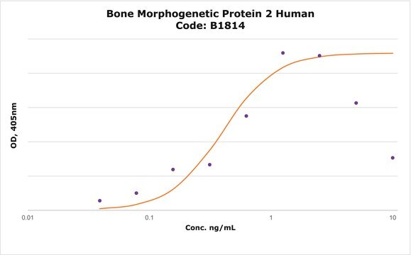 Bone Morphogenetic Protein&#160;2 human Carrier Free, &#8805;98% (SDS-PAGE), recombinant, expressed in E. coli, lyophilized powder, suitable for cell culture