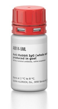 Anti-Rabbit IgG (whole molecule)&#8722;Agarose antibody produced in goat affinity isolated antibody, saline suspension