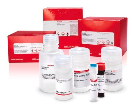 Creatine Kinase Activity Assay Kit sufficient for 100&#160;tests (Ultraviolet)