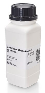 Bovine Serum Albumin &#8805;98.5%, New Zealand origin