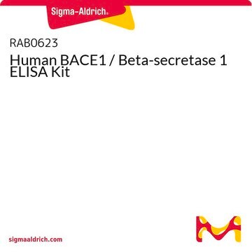 Human BACE1 / Beta-secretase 1 ELISA Kit