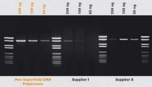 Pwo SuperYield DNA Polymerase suitable for PCR, Difficult Templates/Specialty Enzymes PCR, hotstart: no, dNTPs included: no