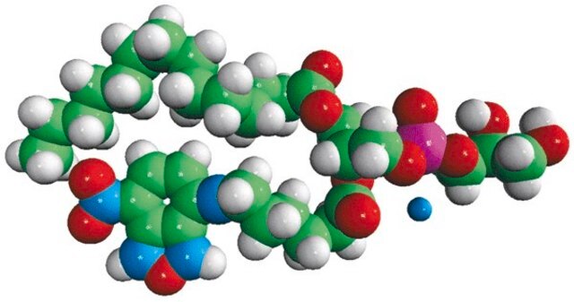 14:0-06:0 NBD PG Avanti Polar Lipids 810161P, powder