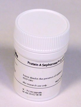 Protein A Sepharose&#8482; Cl-4B Cytiva 17-0963-02, pack of 500&#160;mL