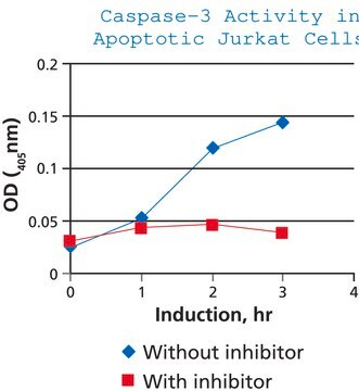 Caspase 3 Assay Kit, Colorimetric