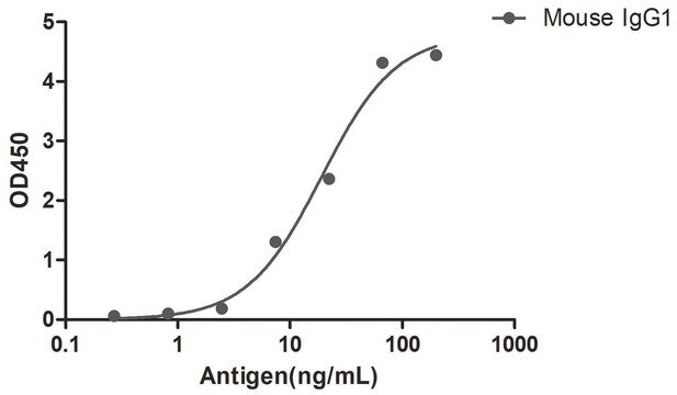 Alpaca Anti-Mouse IgG1(Fc&#947;) HRP single domain Antibody recombinant Alpaca(VHH) Nano antibody