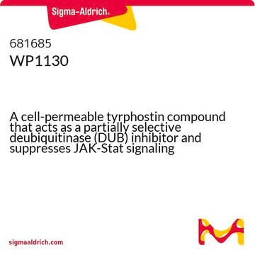 WP1130&nbsp;– Calbiochem A cell-permeable tyrphostin compound that acts as a partially selective deubiquitinase (DUB) inhibitor and suppresses JAK-Stat signaling pathway.