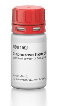 Diaphorase aus Clostridium kluyveri lyophilized powder, 3.0-20.0&#160;units/mg protein (biuret)