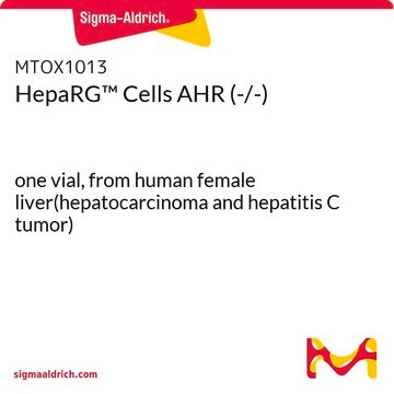 HepaRG&#8482; Cells AHR (-/-) one vial, from human female liver(hepatocarcinoma and hepatitis C tumor)