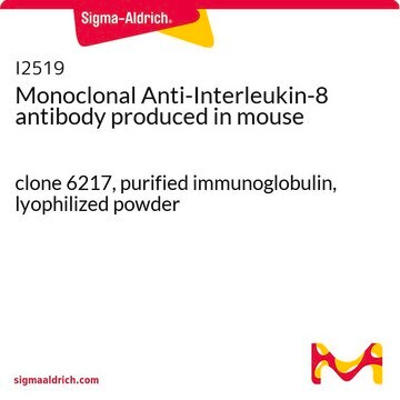 Monoclonal Anti-Interleukin-8 antibody produced in mouse clone 6217, purified immunoglobulin, lyophilized powder