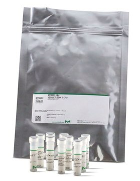 Proteus mirabilis WDCM 00023 Vitroids&#8482; 80-130 CFU mean value range, certified reference material, suitable for microbiology, Manufactured by: Sigma-Aldrich Production GmbH, Switzerland