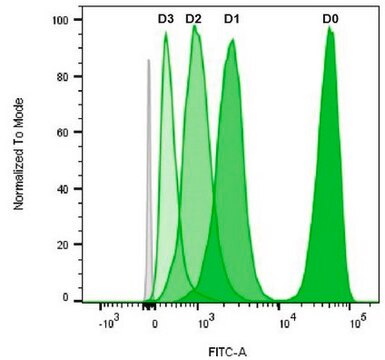 BioTracker&nbsp;488 CSFE-Zellproliferationskit, grün Live cell imaging cell proliferation kit based on carboxyfluorescein succinimidyl ester (CFSE) used for fluorescent cell labeling in flow cytometry applications.