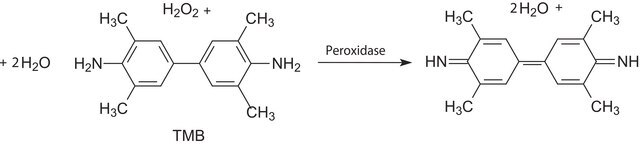 3,3&#8242;,5,5&#8242;-3,3,5,5-Tetramethylbenzidin (TMB) Flüssigsubstratsystem für ELISA peroxidase substrate