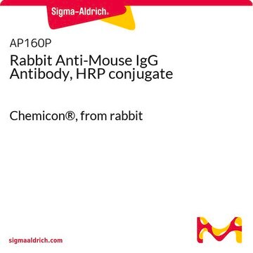 Rabbit Anti-Mouse IgG Antibody, HRP conjugate Chemicon&#174;, from rabbit