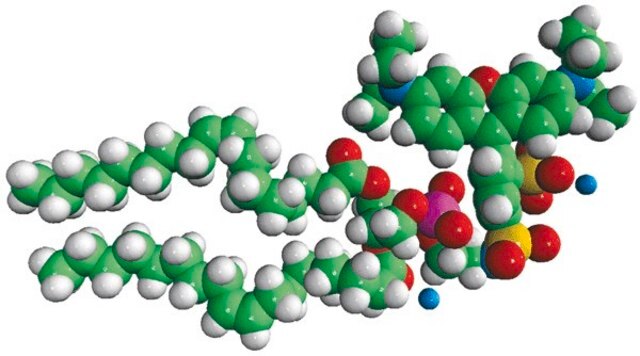 18:1 Liss Rhod PE Avanti Polar Lipids