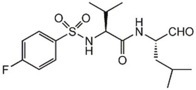 Calpain-Inhibitor&nbsp;VI The Calpain Inhibitor VI, also referenced under CAS 190274-53-4, controls the biological activity of Calpain. This small molecule/inhibitor is primarily used for Protease Inhibitors applications.