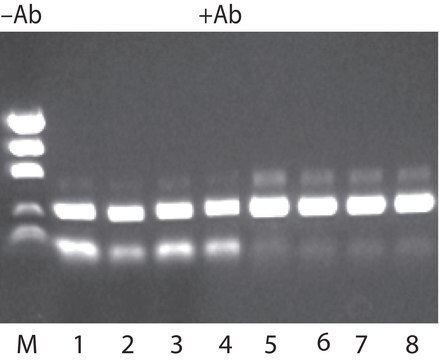 JumpStart&#8482; REDTaq&#174; DNA-Polymerase Hot-start Taq enzyme with inert dye, 10X buffer included