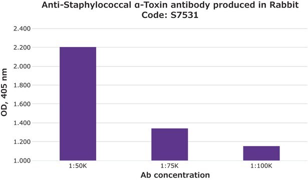 Anti-Staphylococcal &#945;-Toxin antibody produced in rabbit whole antiserum