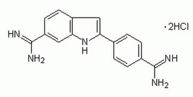 DAPI, Dihydrochloride Cell-permeable DNA-binding dye.