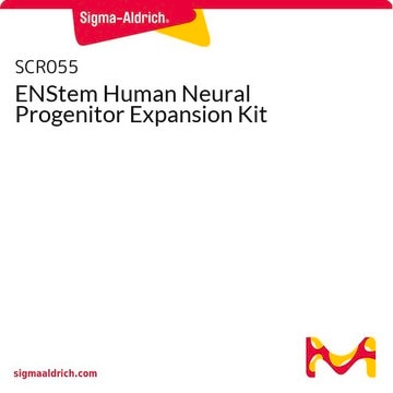 ENStem Human Neural Progenitor Expansion Kit