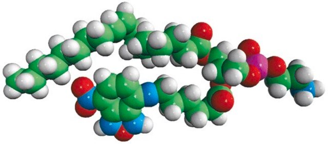 18:1-06:0 NBD PE Avanti Polar Lipids 810155C