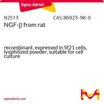 NGF-&#946; from rat recombinant, expressed in Sf21 cells, lyophilized powder, suitable for cell culture